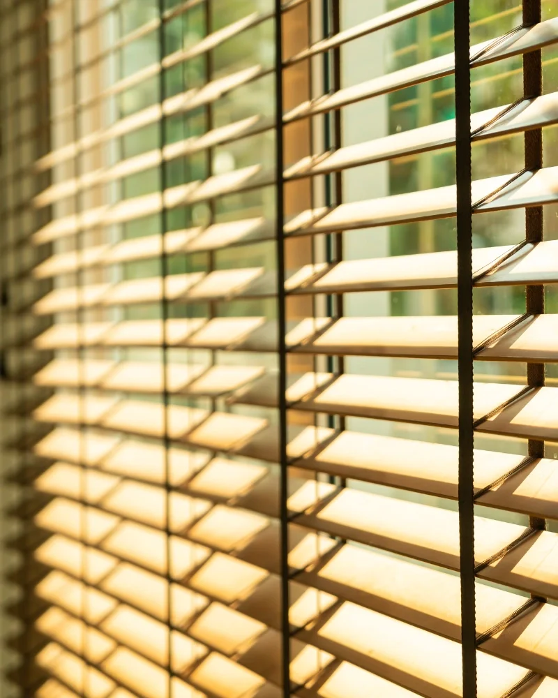 Best Window Treatments for Privacy and Light in 2024 featured image
