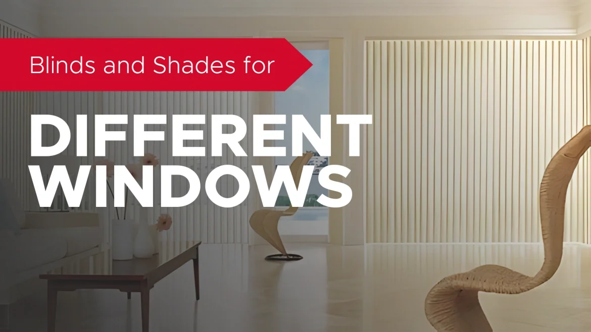 Blinds and Shades for Different Windows featured image