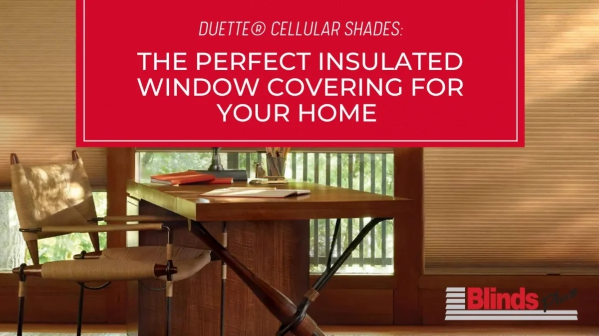 DUETTE® CELLULAR SHADES: The Perfect Insulated Window Covering for Your Home featured image