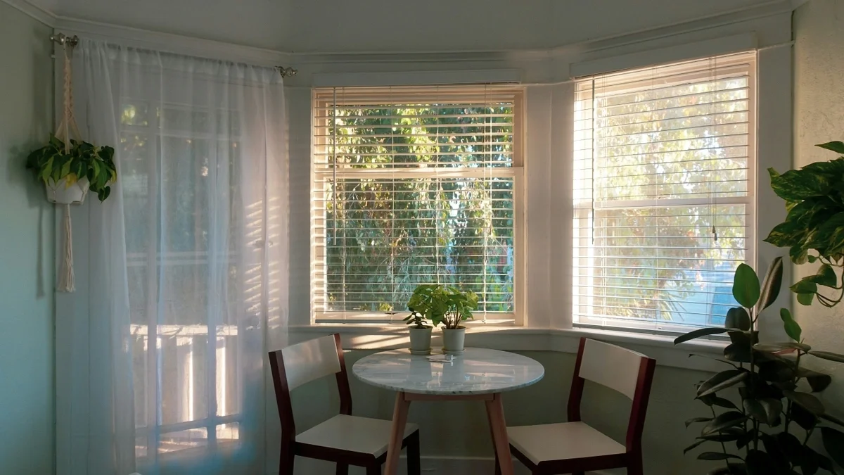 Not Your Granny's Roller Shades! featured image