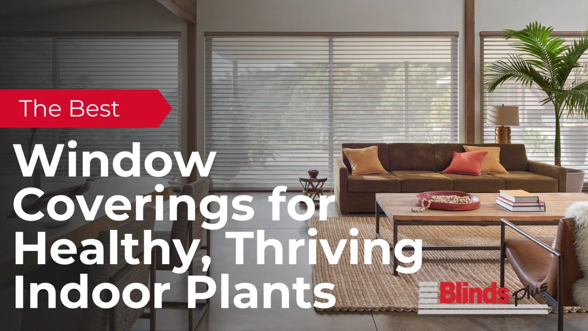 The Best Window Coverings for Healthy, Thriving Indoor Plants featured image