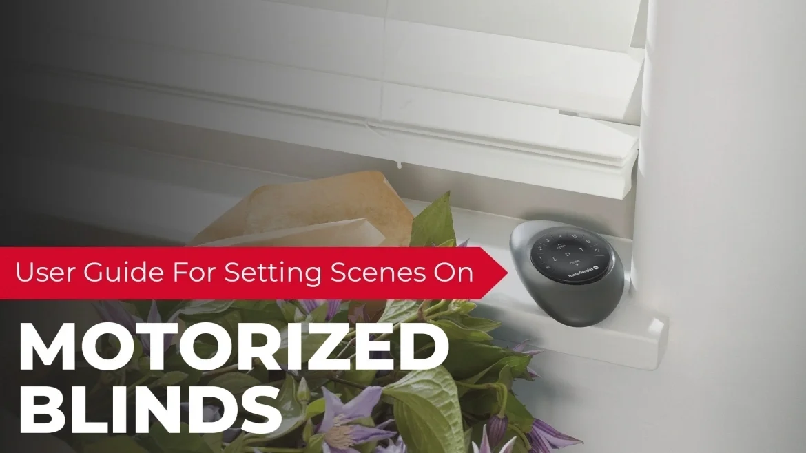 User Guide for Setting Scenes on Motorized Blinds featured image